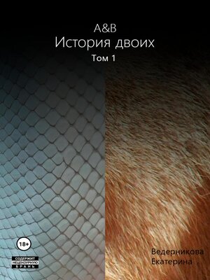 cover image of A&B. История двоих. Том 1